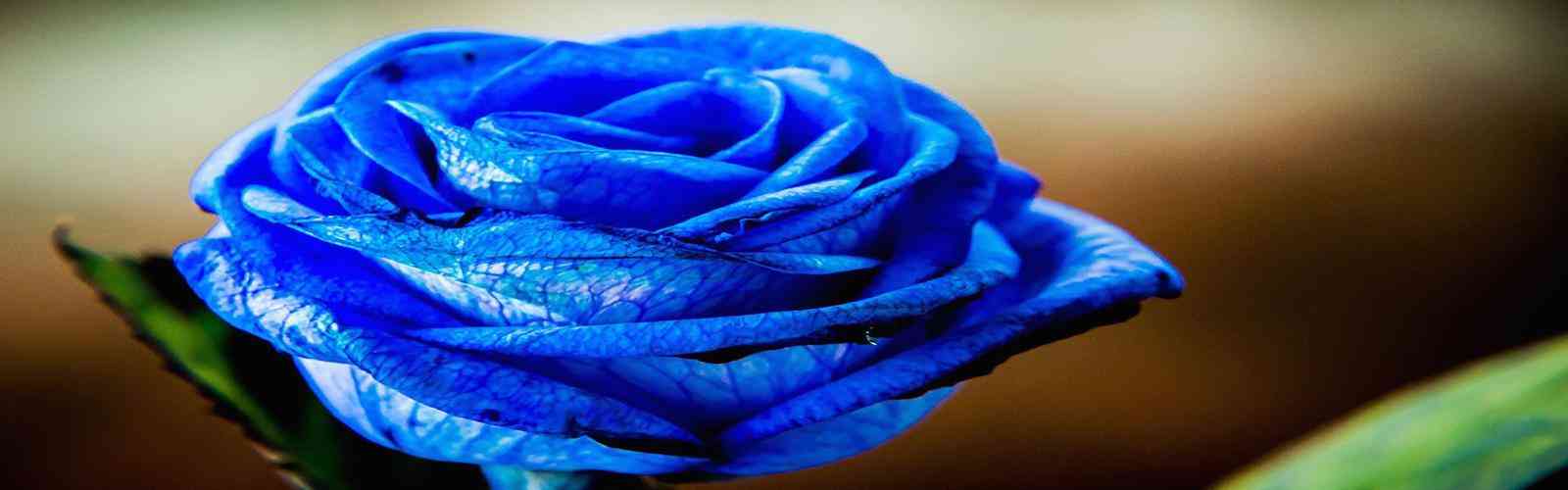 40001百老汇电子游戏